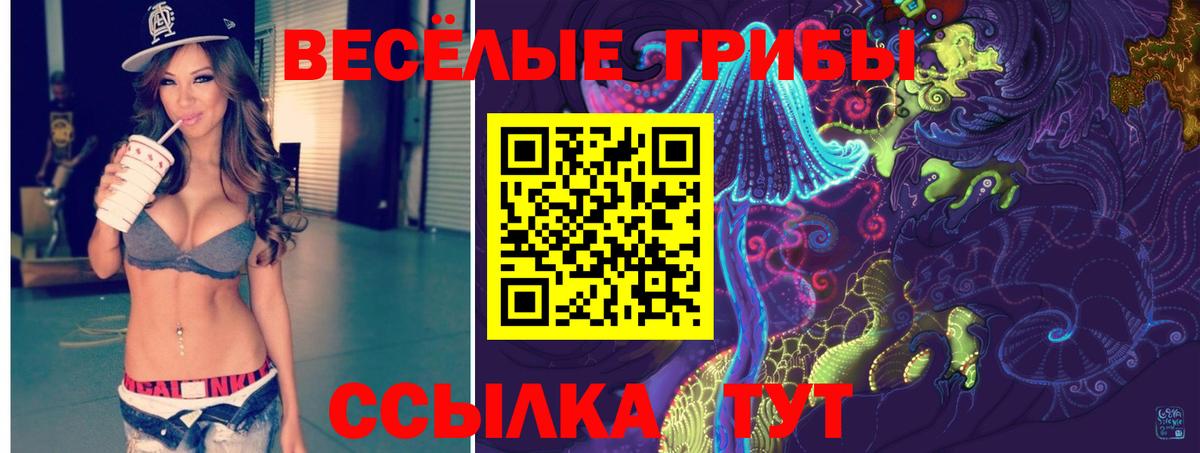 Черногорск  Псилоцибиновые грибы MAGIC MUSHROOMS  Вход с VPN  Галлюциногенные грибы Psilocybe 